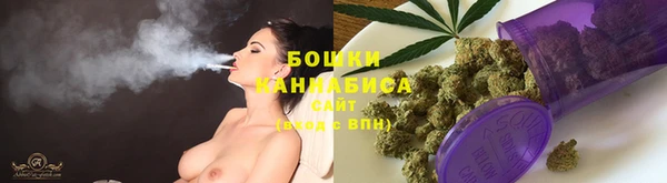 прущие грибы Пересвет